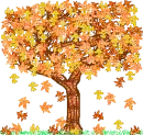 Autumn tree