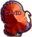 David Turkey