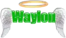 Waylon