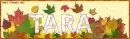 Tara Leaves