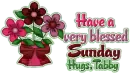 Tabby,Have a blessed Sunday