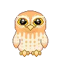 owl