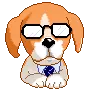 dog in glasses