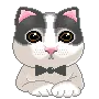 mr. cat