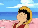 one piece3