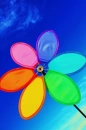 flower windmill