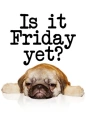 friday yet?
