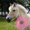 Pony Kisses