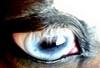 Flame, what i see in your eyes is something i can't find anywhere else.