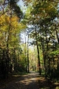 paved trail
