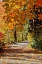 paved trail