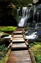 waterfall and dock