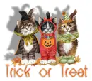 trick or treat