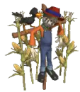 scarecrow being pecked on