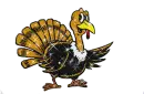 Thanksgiving Turkey