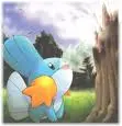 Mudkip