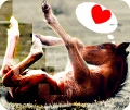 Think love