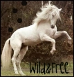 Wild & Free baby
