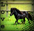 Love me