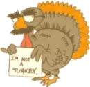 I'm not a turkey