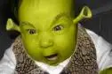 geen baby