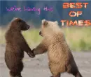 cute bear