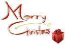 merry christmas with a present