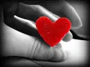 heart in hand