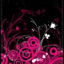 black and pink 