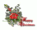 Poinsettia Happy Christmas