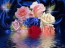 a bunch of roses