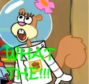 WHAT THE!??!