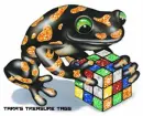 rubiks cube frog