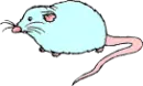 82