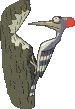 95
