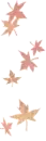 AUTUMN LEAVES