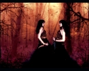 dark forest