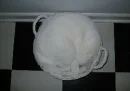 kitty in a bowl