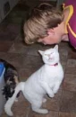 cat dancing