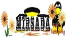 MIRSADA