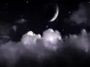 Moonlight Fantasy