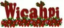 Wicahpi