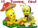 Hello Sweet Friend