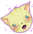 cute cat