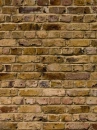 bricks