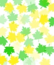 leaves
