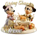 happy thanksgivin Irene