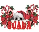 merry christmas SUDA
