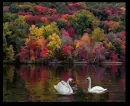 Autumn Days