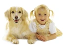 Children And Puppies is really lovable